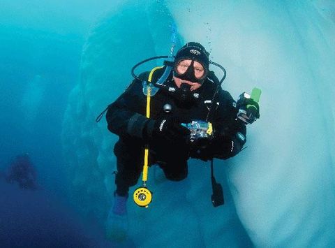 antarctica scuba diving ae