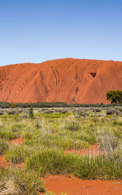 australia northern territory uluru viewpoint adstk