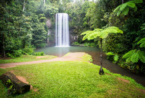 australia queensland atherton tablelands millaa millaa falls istk