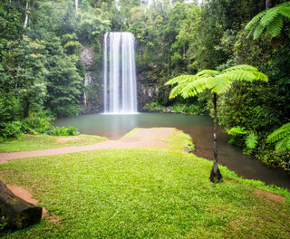 australia queensland atherton tablelands millaa millaa falls istk