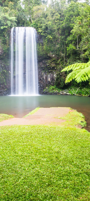 australia queensland atherton tablelands millaa millaa falls istk