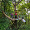 australia queensland daintree np jungle surfing1