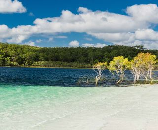 australia queensland lake mckenzie fraser island istk