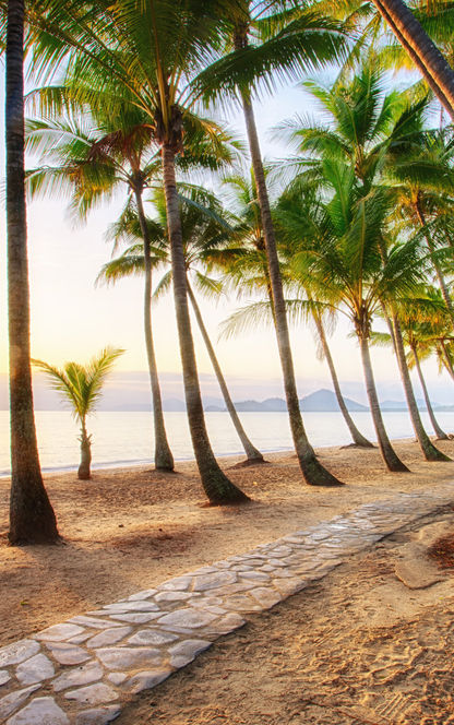 australia queensland palm cove istk