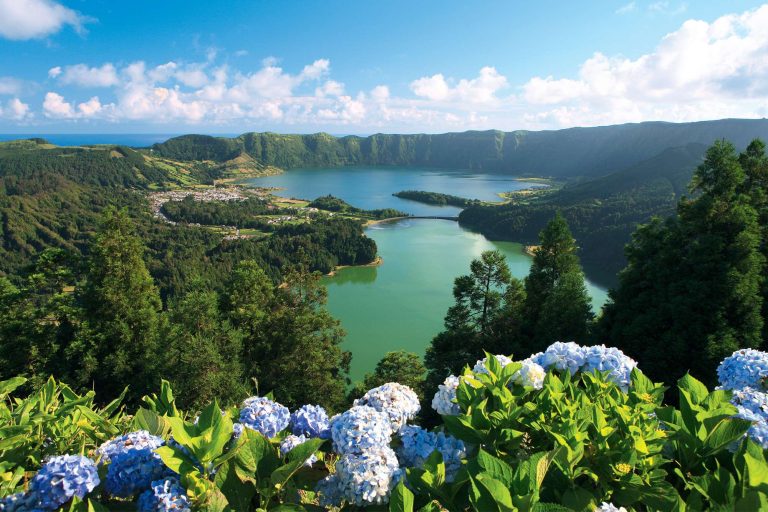 azores sete cidades hydrangea