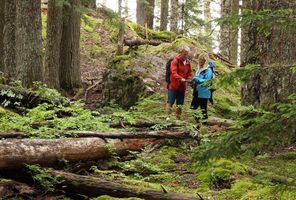 Hiking near Whistler