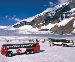 canada alberta athabasca glacier ice truck ctc