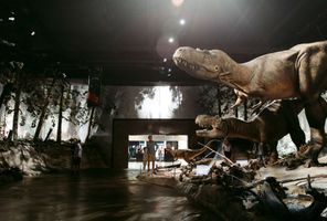 canada alberta exploring dinosaur museum drumheller ta