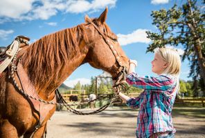 canada alberta girl greeting horse ta