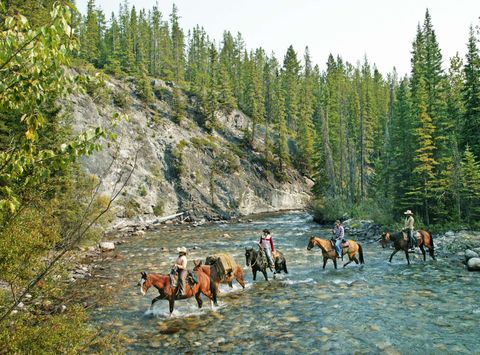 canada alberta horse riding banff national park ta