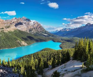 canada alberta peyto lake along icefields parkway istk