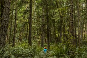 canada bc skookumchuck narrows provincial park istk