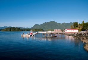 Tofino Harbour