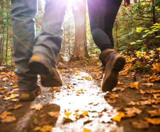 Forest hike