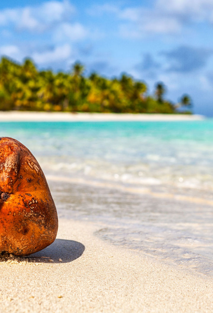 cook-islands-aitutaki-coconut-on-beach-istk