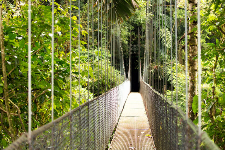 costa rica arenal national park hanging bridge istk