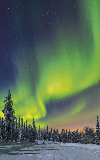 finland aurora over forest istk