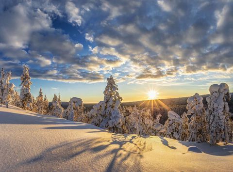 finnish lapland pyha luosto national park sunlit snowscape istk