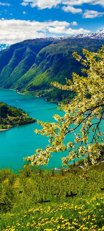 fjord norway hardanger ulvik village tb