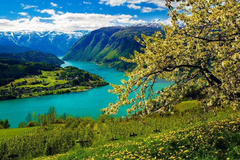 fjord norway hardanger ulvik village tb