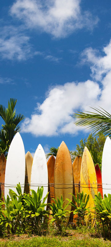 hawaii row of surfboards istk