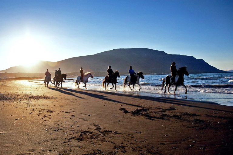 iceland north horse riding arctic coast way