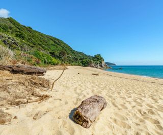 new zealand abel tasman gold sand beach istk