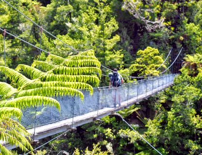 Abel Tasman swing bridge