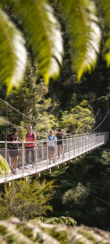 new-zealand-foot-bridge-abel-tasman-national-park-tnz