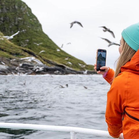 norway-vesteralen-photographing-seabirds-vn