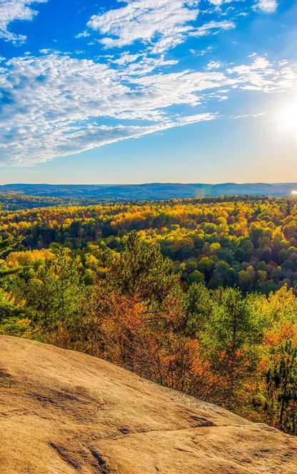 Algonquin Provincial Park