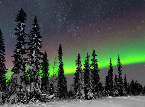 sweden lapland aurora over forest jw