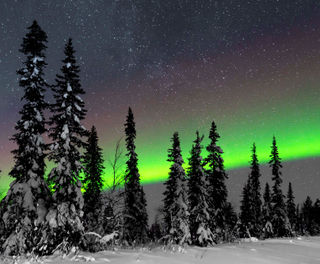 sweden lapland aurora over forest jw