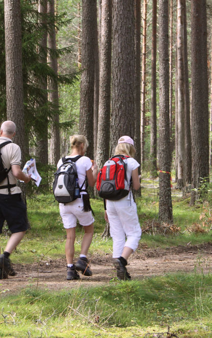 sweden varmland family hiking wtrwld