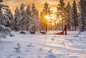 swedish lapland husky sledding under winter sun gar