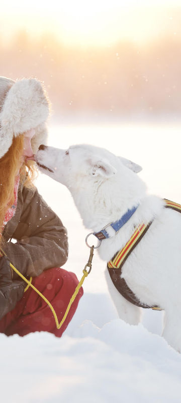 swedish-lapland-woman-bonding-with-sled-dog-vs