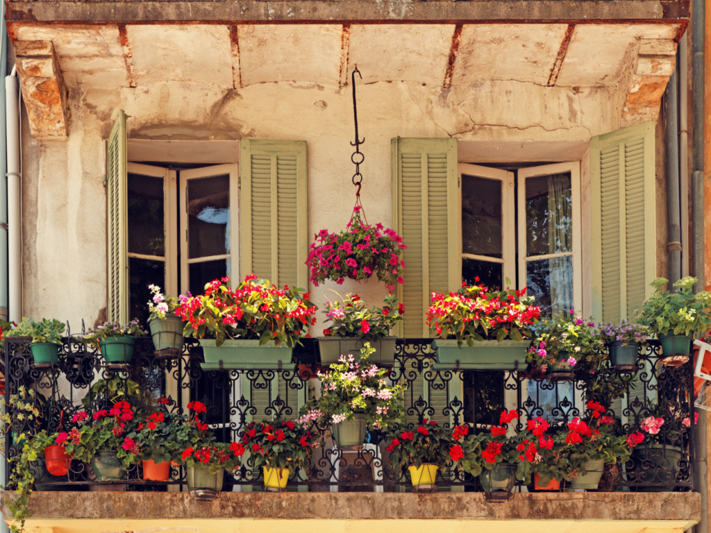 Picture of flowers outside green windows